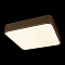 Светильник LOFT IT 10228/C